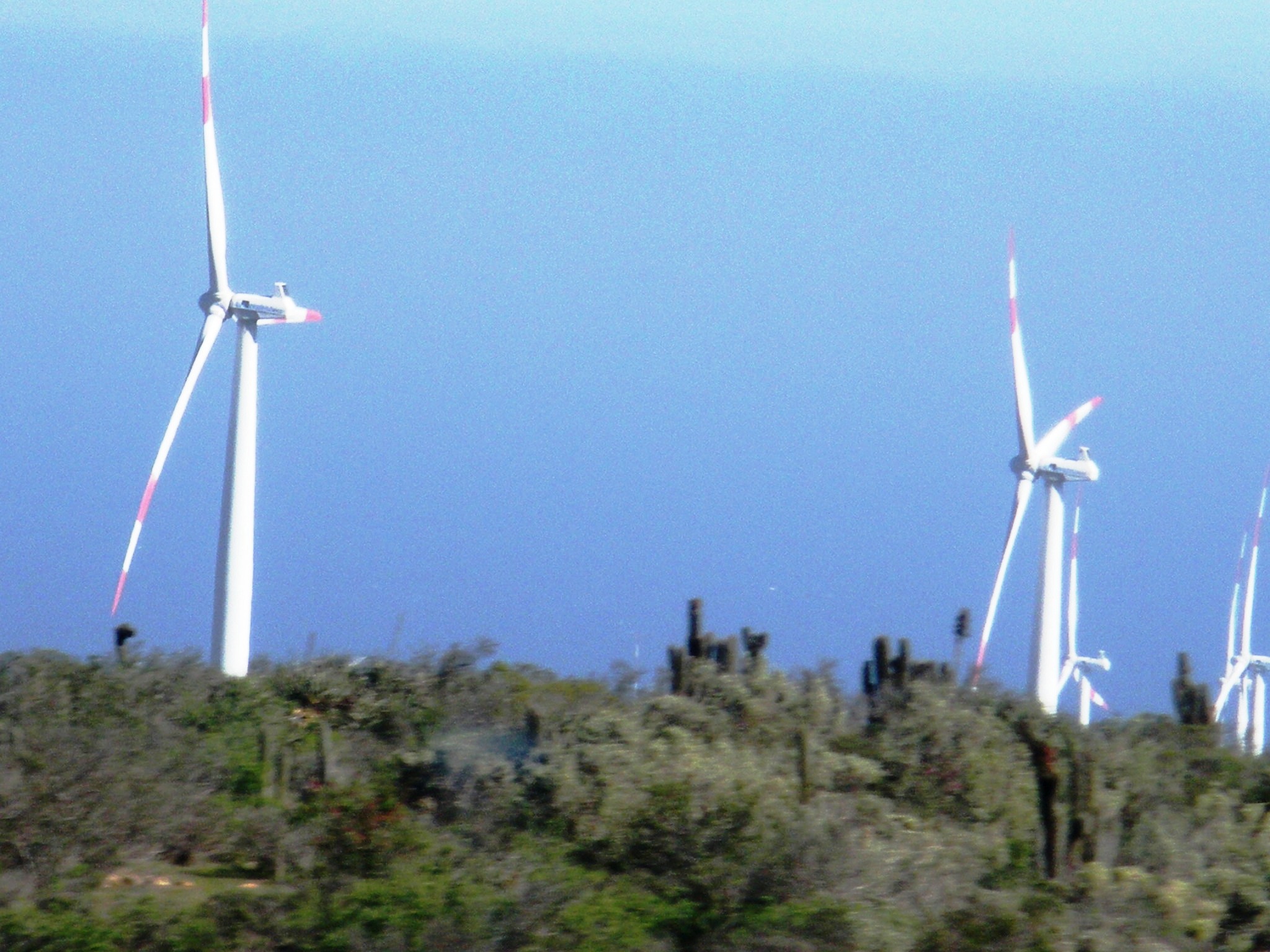 Windmills in Chile