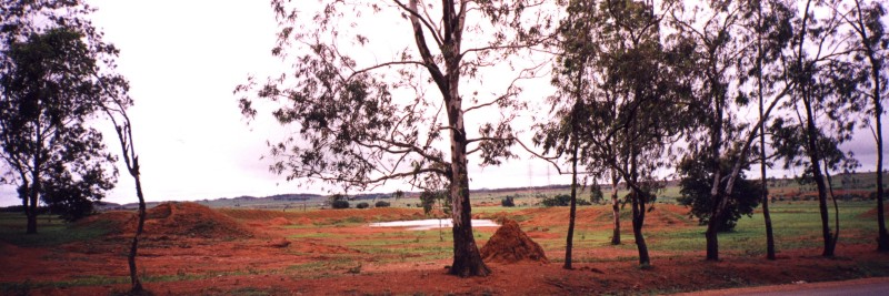 Nigerian countryside