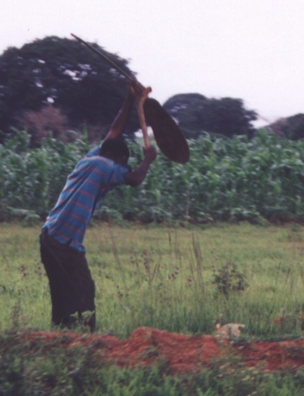 A farmer in his field