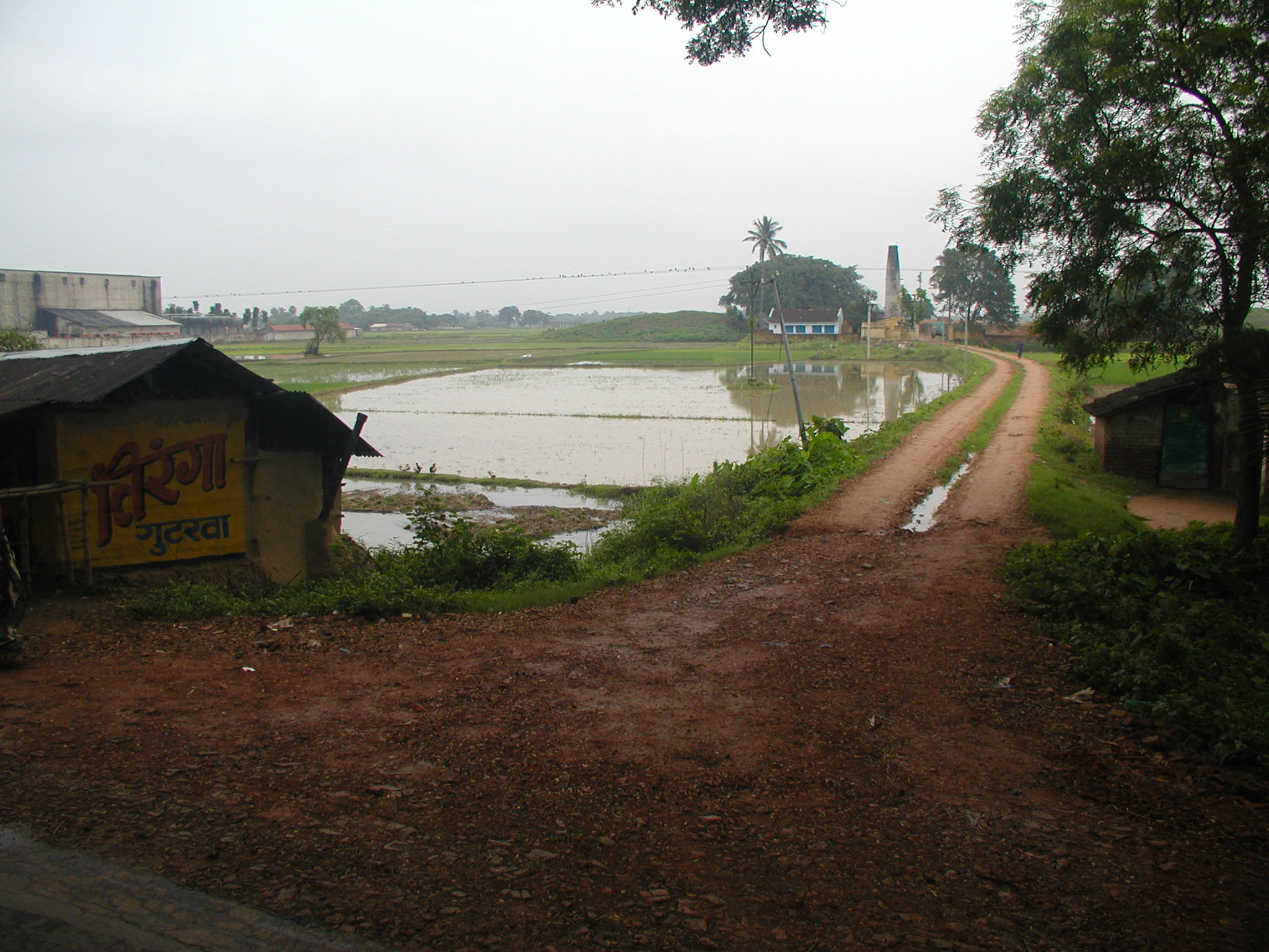 A farm outside of Kolkata 