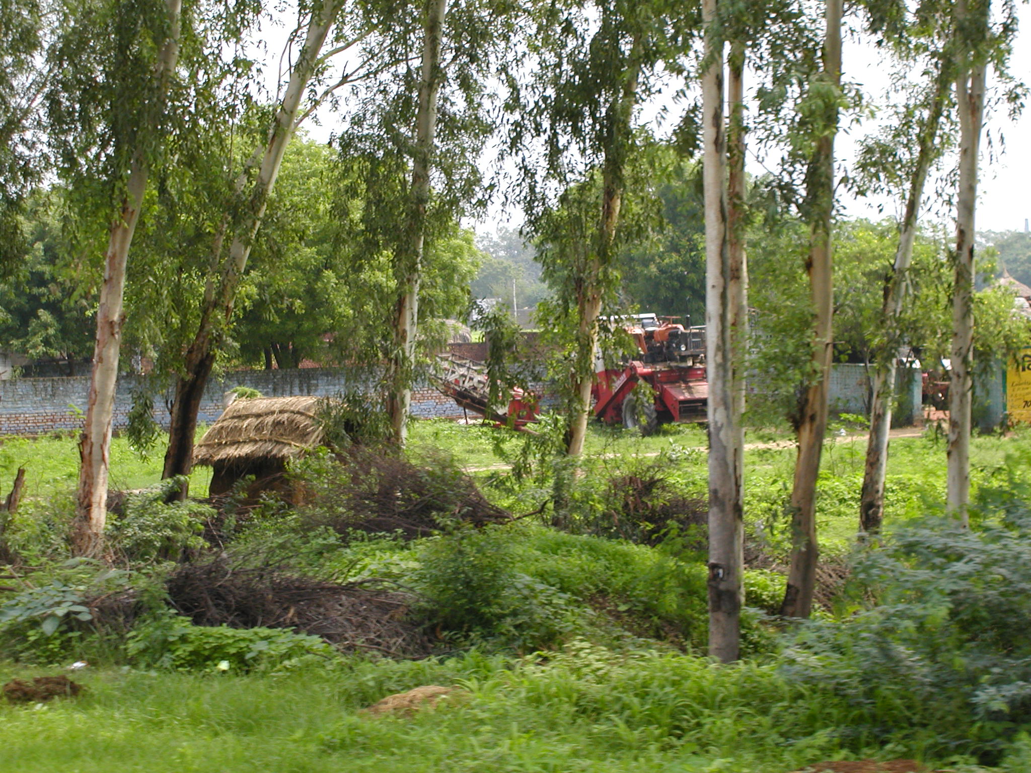 A combine at work in the forest 