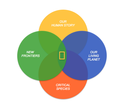 ven diagram