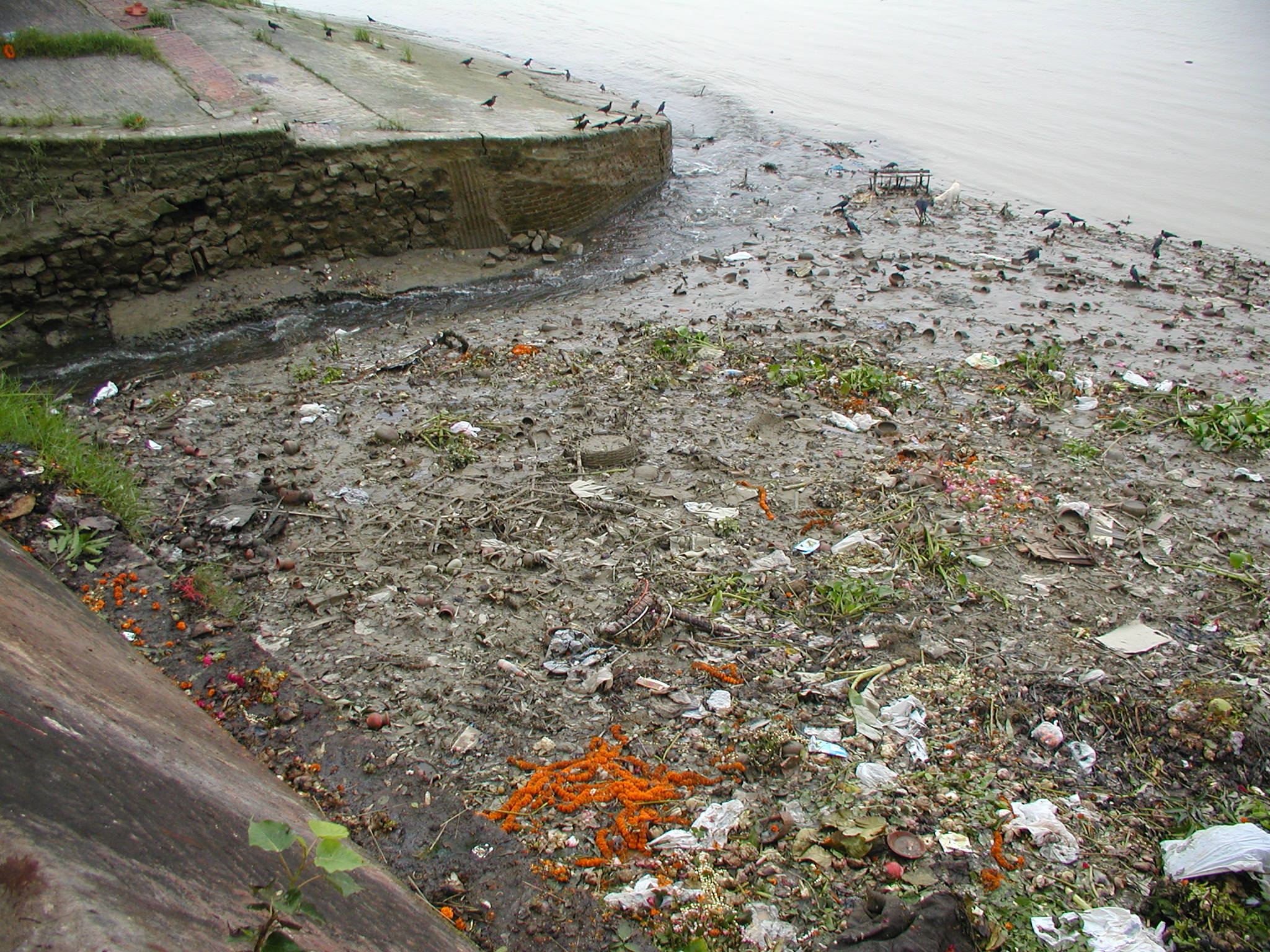 Pollution on the river bank in Kolkata 