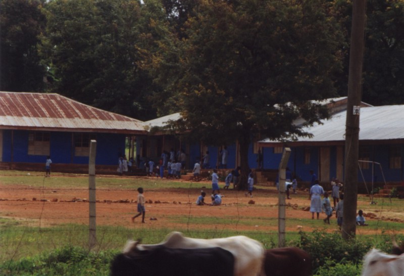 children playing in school yard