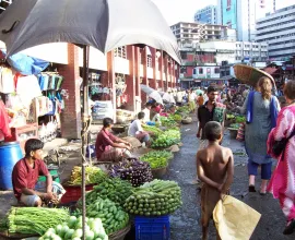 Stalls at a market selling various goods.