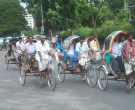 Bike carts are an easy and effective way of transportation.