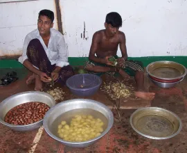 Two men cook vegetables in the open.