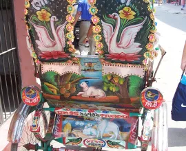 Bike carts can be very beautiful and decorated.