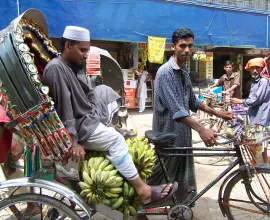 Two men transporting bananas.