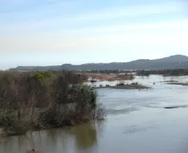 The Bío Bío River is the largest river in central Chile.