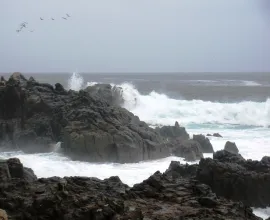 Where the desert meets the ocean in Arica.