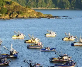 Fishing Boats in Lota in central Chile