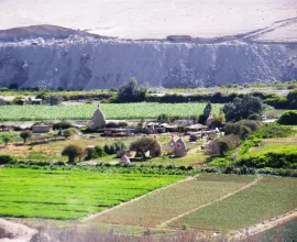 A commune in the Azapa Valley.