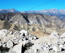 The transition between the Atacama Desert and the Altiplano.