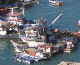 Commercial fishing is a major economic activity up and down Chile’s coast.