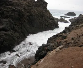 The Pacific coast of northern Chile and southern Peru has one of the world’s highest concentrations of seabirds due to the abundance of anchovies and other small fish in the Humboldt Current.