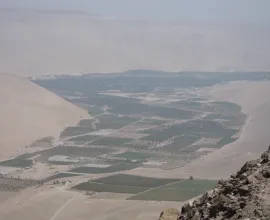 A view of the Azapa Valley and surrounding Atacama Desert.