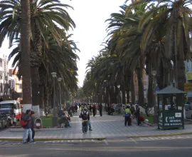 Tacna's historical plaza.