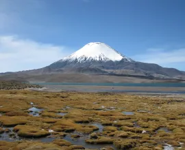 Parinacota Volcano near Putre on the Chile-Bolivia border