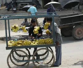 A man sells bananas from his cart in the street.