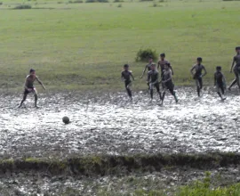 A group of children play a game of football (soccer).