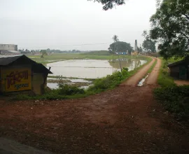 Farms outside of Kolkata.