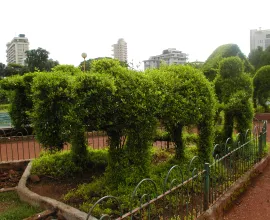 Bushes shaped into a horse and plow in a hanging garden in Mumbai.