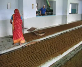 Tea is laid out before it is packaged to be sent away for use.