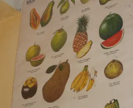 A sign describing various fruits.