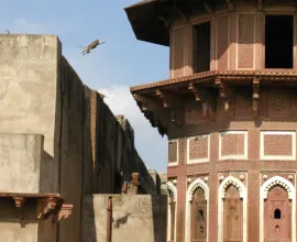 A monkey jumps from building to building at a fort.