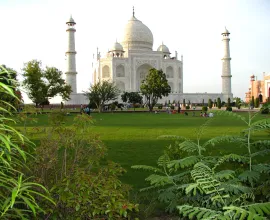The green garden around the Taj Mahal.